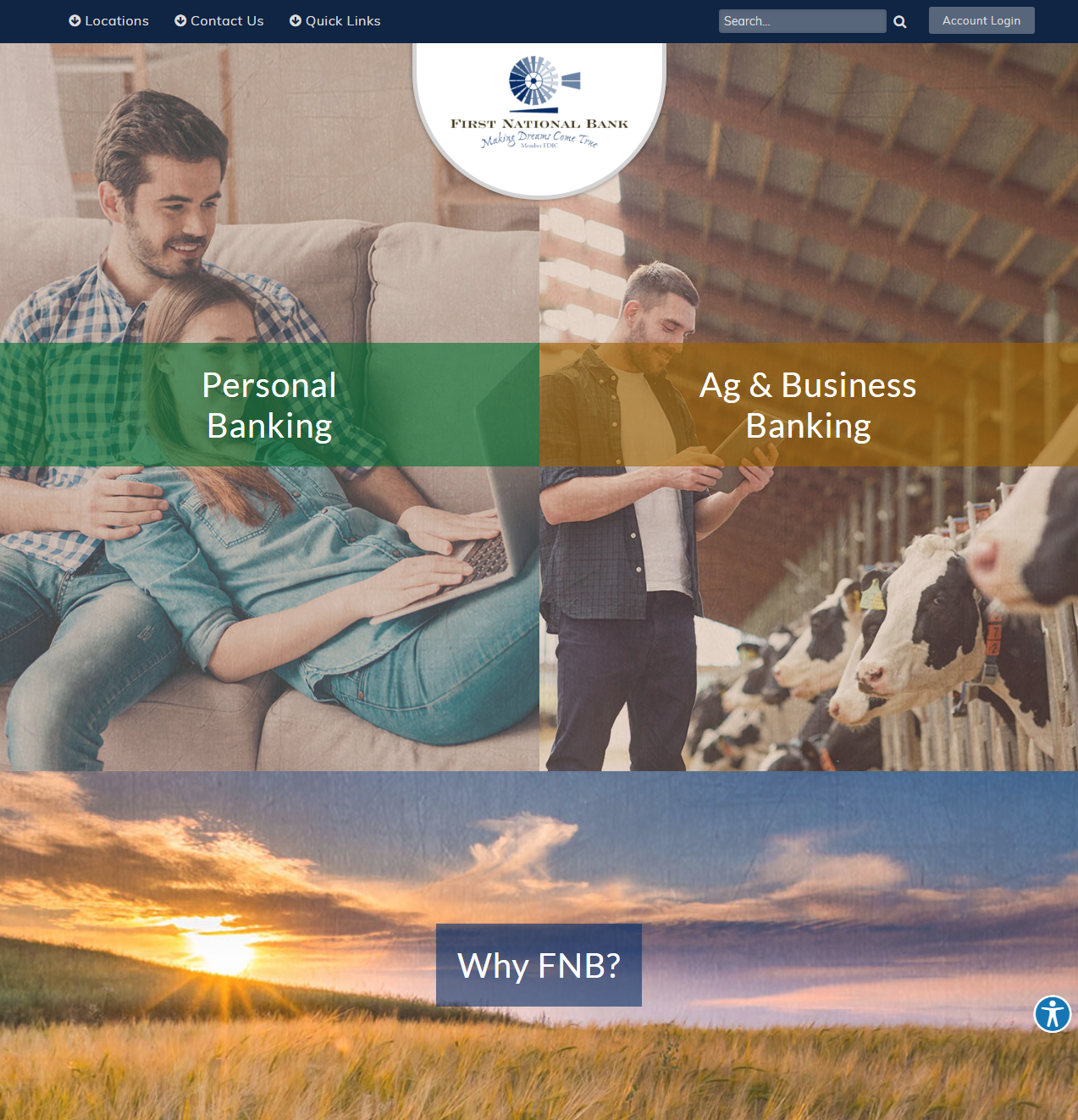 website picture